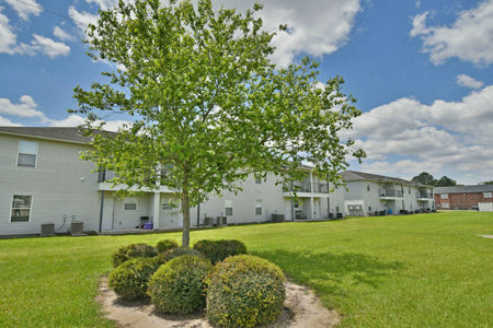 Camellia Trace-exterior-1441-1200w